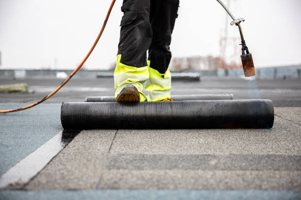 Roof Moss and Algae Removal in Nome, AK